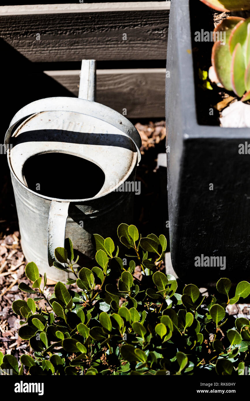 Old tin watering can sitting in the sun. Stock Photo