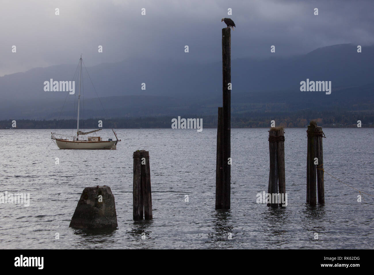 Denman Island, Northern Gulf Islands, British Columbia, Canada Stock