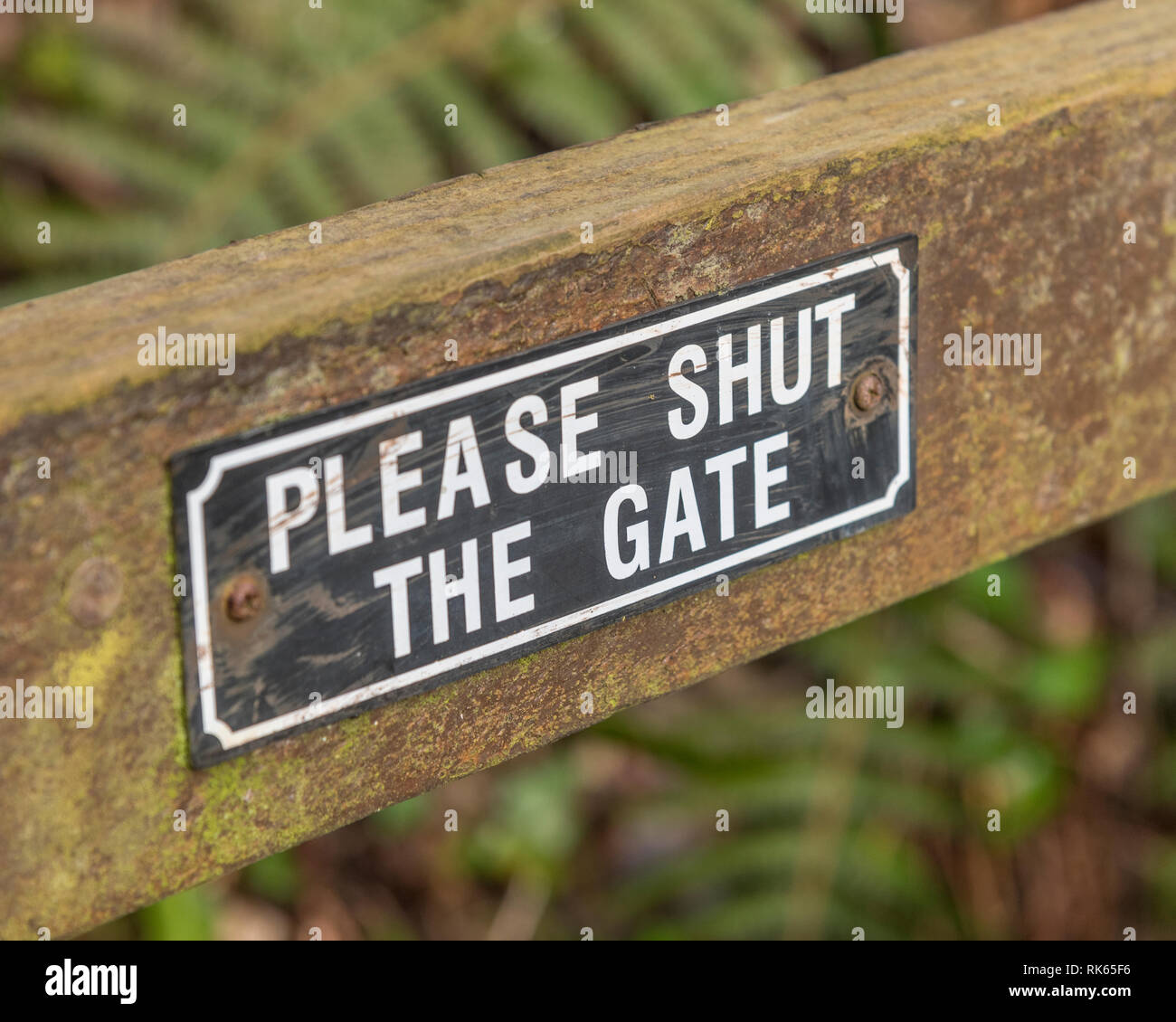 Farm gate asking walkers to 'Shut the Gate'. Metaphor Countryside Code. Stock Photo