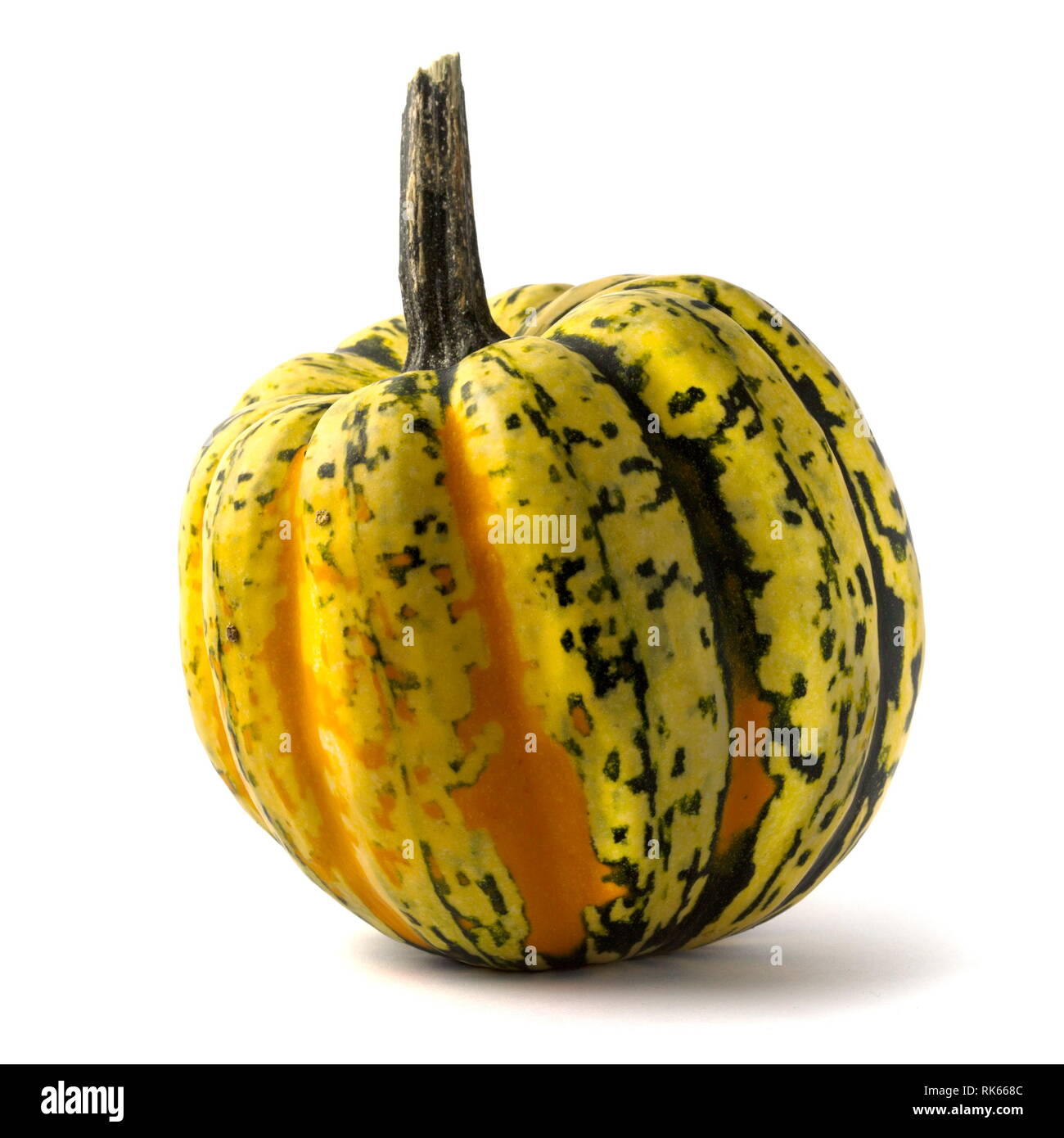 Decorative pumpkin isolated on white background Stock Photo - Alamy