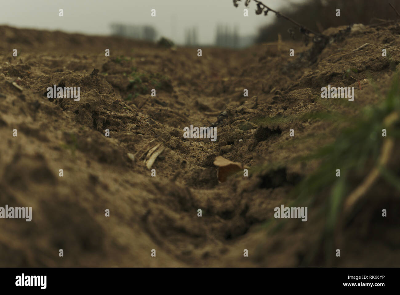 radioactive dirt in russia chernobyl. green soil because of radioactive disaster at nuclear power station Stock Photo