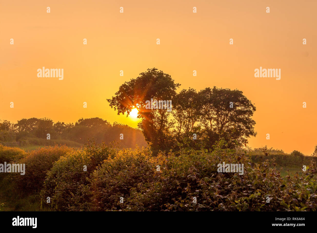 Sunset in the English Countryside. Stock Photo