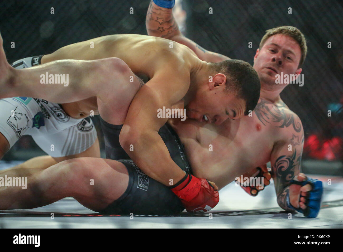 Ashley Cooke High Resolution Stock Photography and Images - Alamy