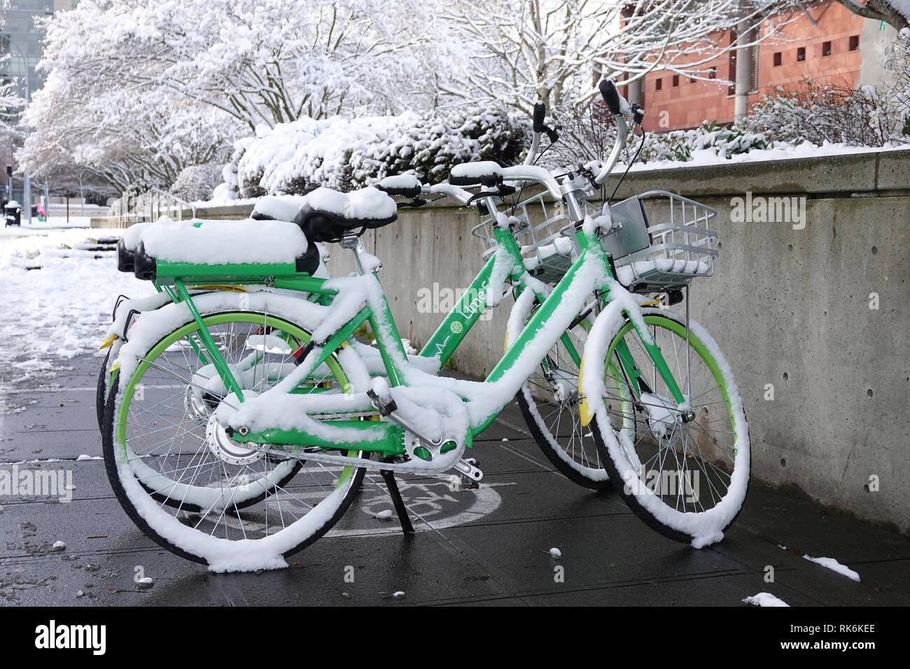 Bellevue, WA, USA. 9th Feb, 2019. Rental Lime e-bikes covered in snow Stock Photo