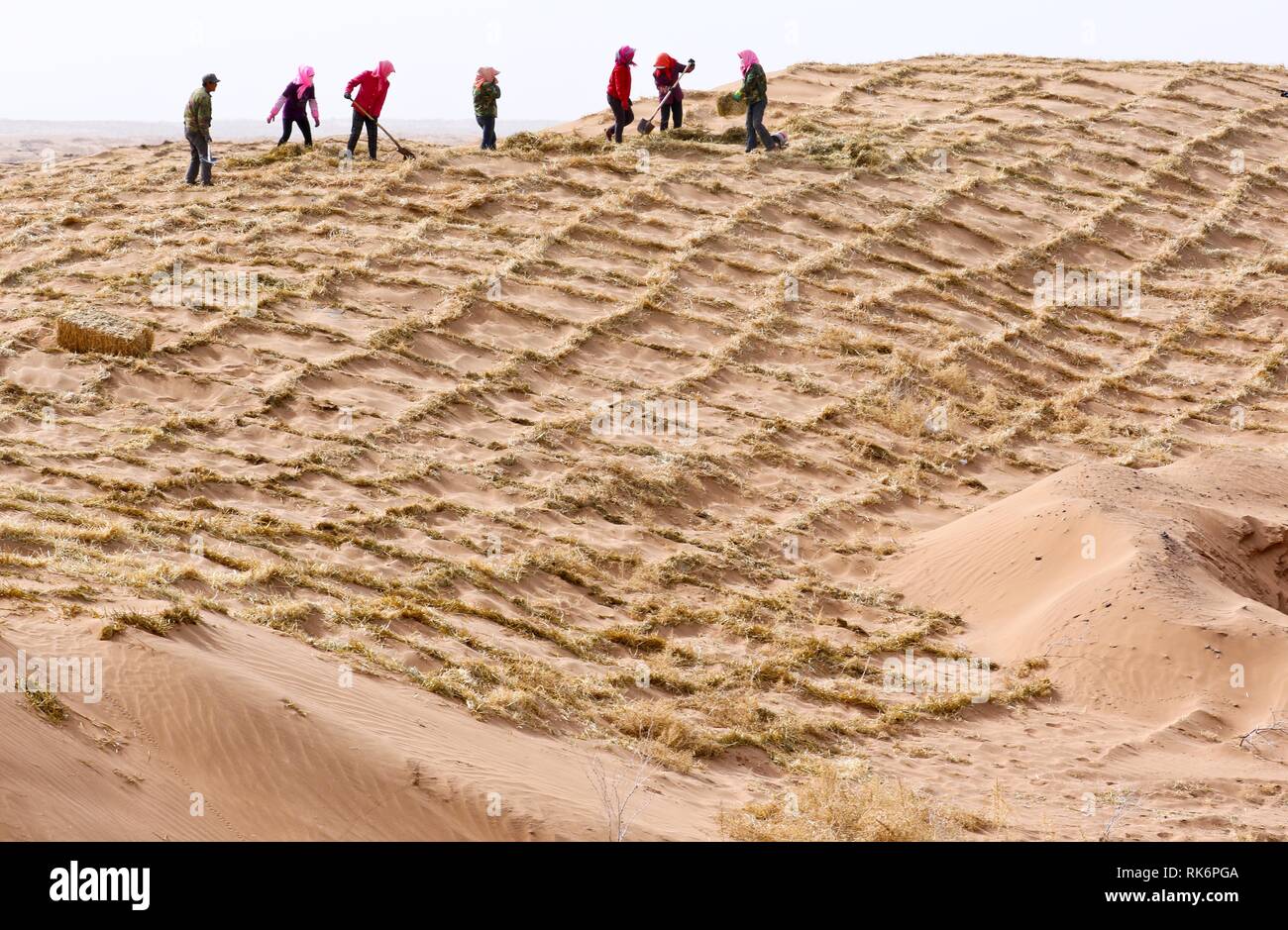 Beijing, China. 10th Feb 2019. Anti-desertification volunteers strengthen a straw checkerboard sand barrier in Linze County of Zhangye, northwest China's Gansu Province, March 27, 2018. More than 100 million Chinese have registered as volunteers by the end of 2018, according to the Ministry of Civil Affairs. There have been about 12,000 organizations of volunteer services registered by the end of 2018, which provided more than 1.2 billion hours of service in total. Stock Photo