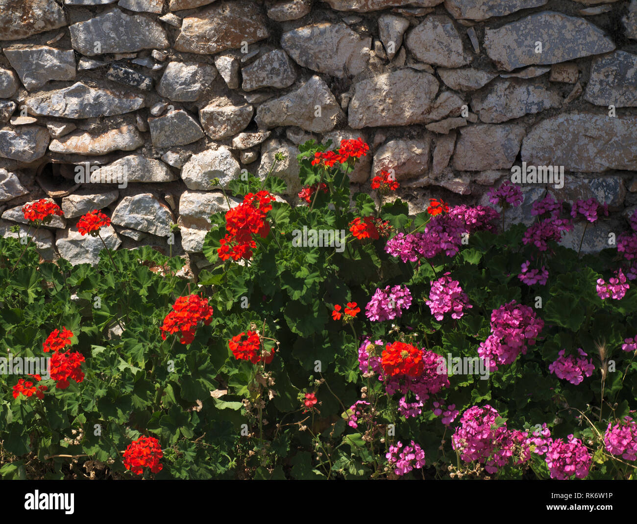 Red and pink flowers under a stone wall in a Greek village Stock Photo ...