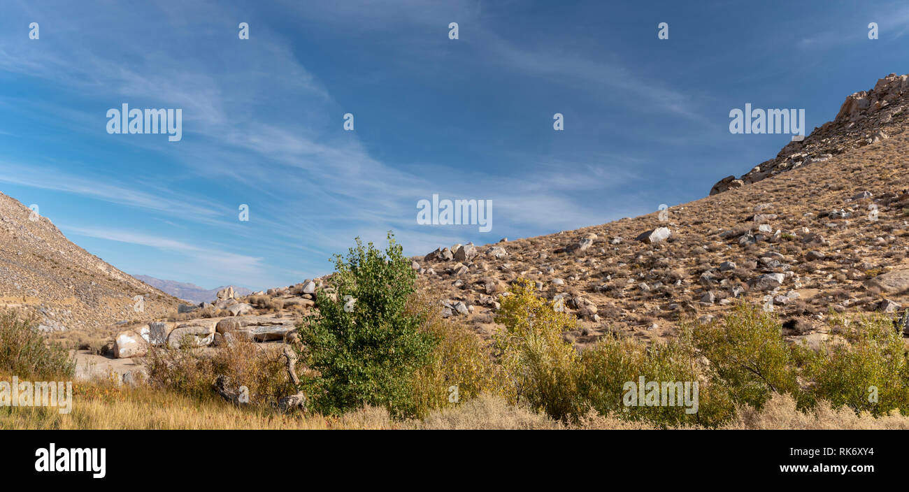 Brown grass, green trees rocky desert hillsides under bright blue sky with white clouds. Panoramic view. Stock Photo