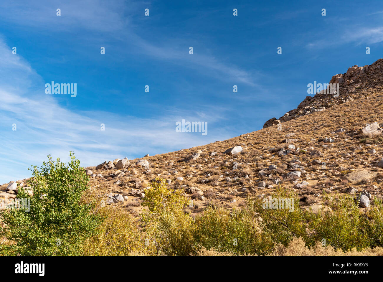 Green trees beneath rocky desert mountain side under bright blue sky with white clouds. Stock Photo