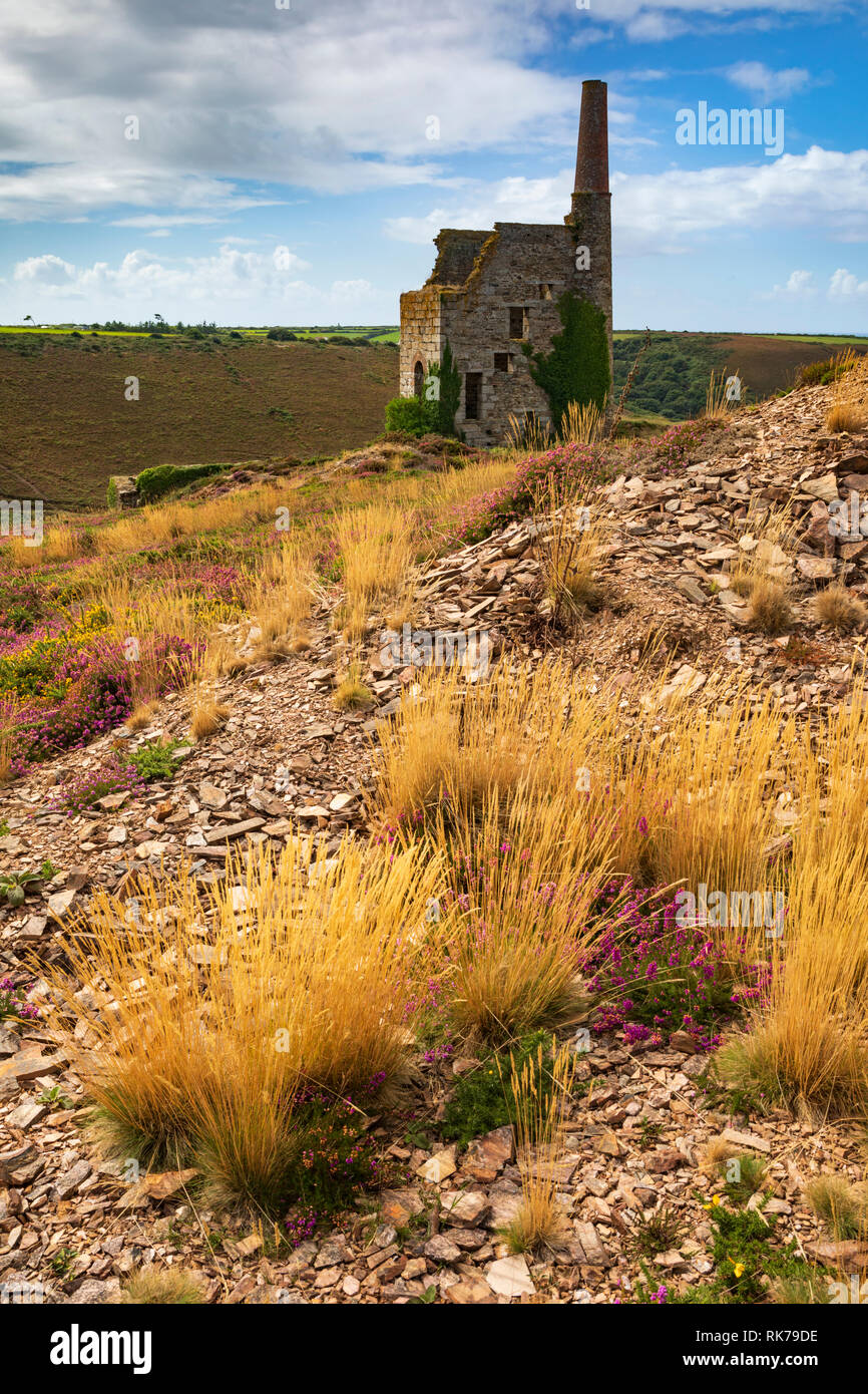 Tywarnhalye Engine House near Porthtowan in Cornwall. Stock Photo