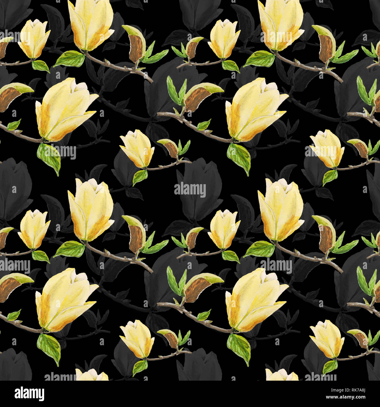 Yellow Magnolia High Resolution Stock Photography and Images - Alamy