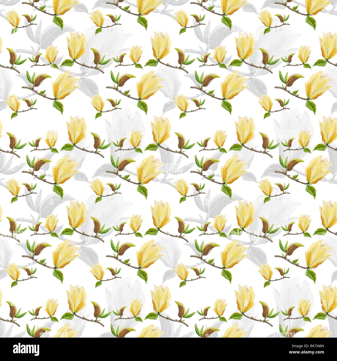 Yellow Magnolia High Resolution Stock Photography and Images - Alamy