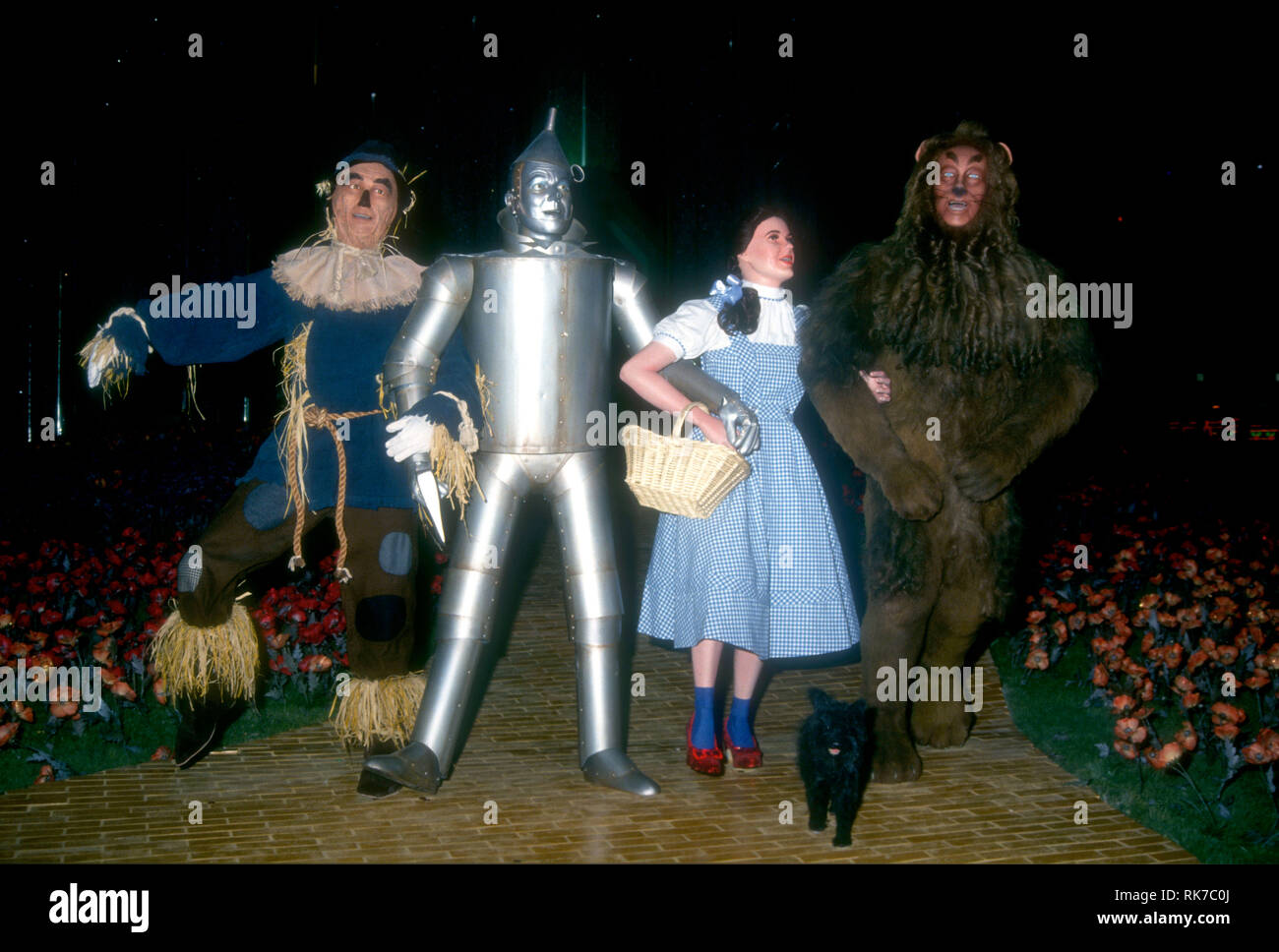 Toto Wizard Of Oz High Resolution Stock Photography And Images Alamy