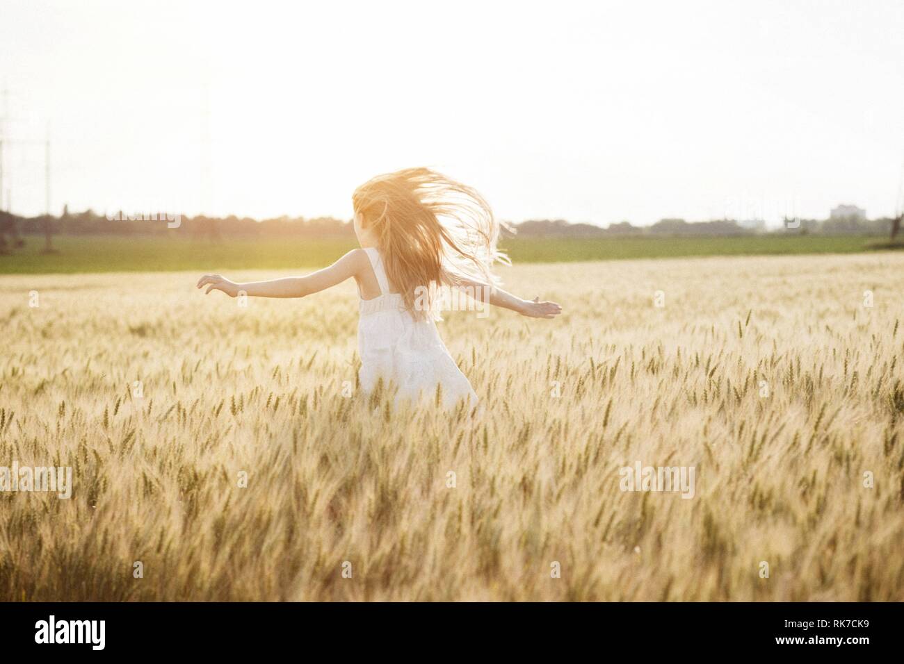 happy summer and freedom. Beautiful little girl at the wheat field on a ...