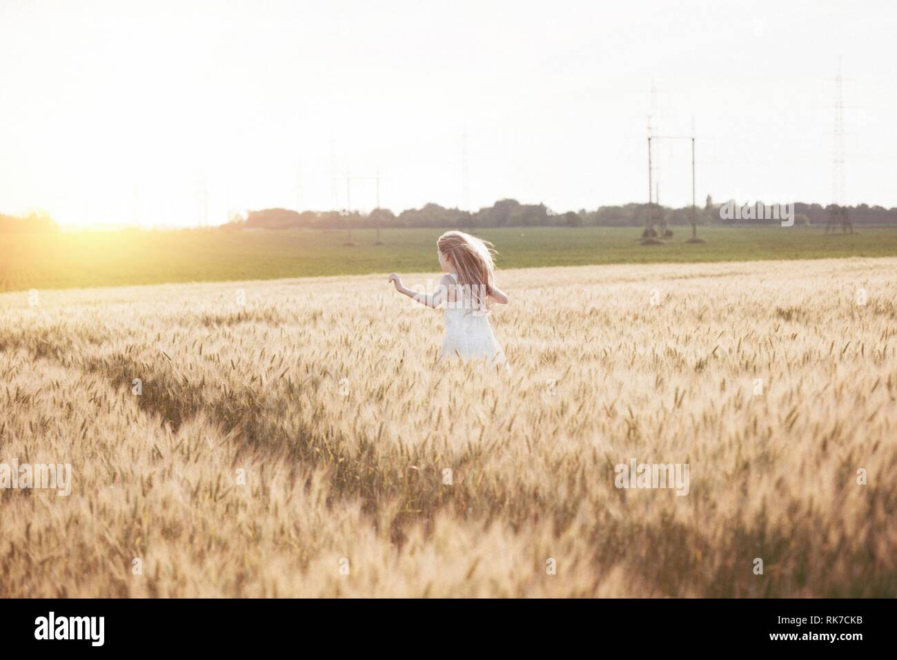 happy summer and freedom. Beautiful little girl at the wheat field on a ...