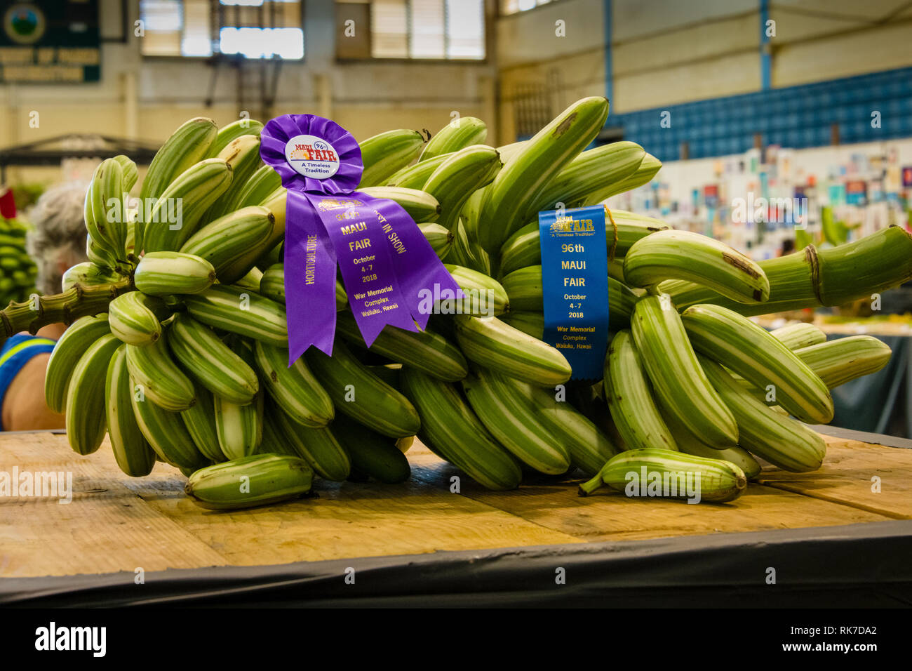 Maui Dwarf Hawaiian Variegated Bananas Stock Photo Alamy