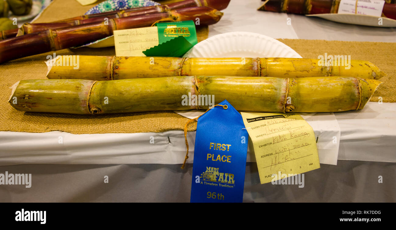 Maui Sugar Cane Stock Photo Alamy