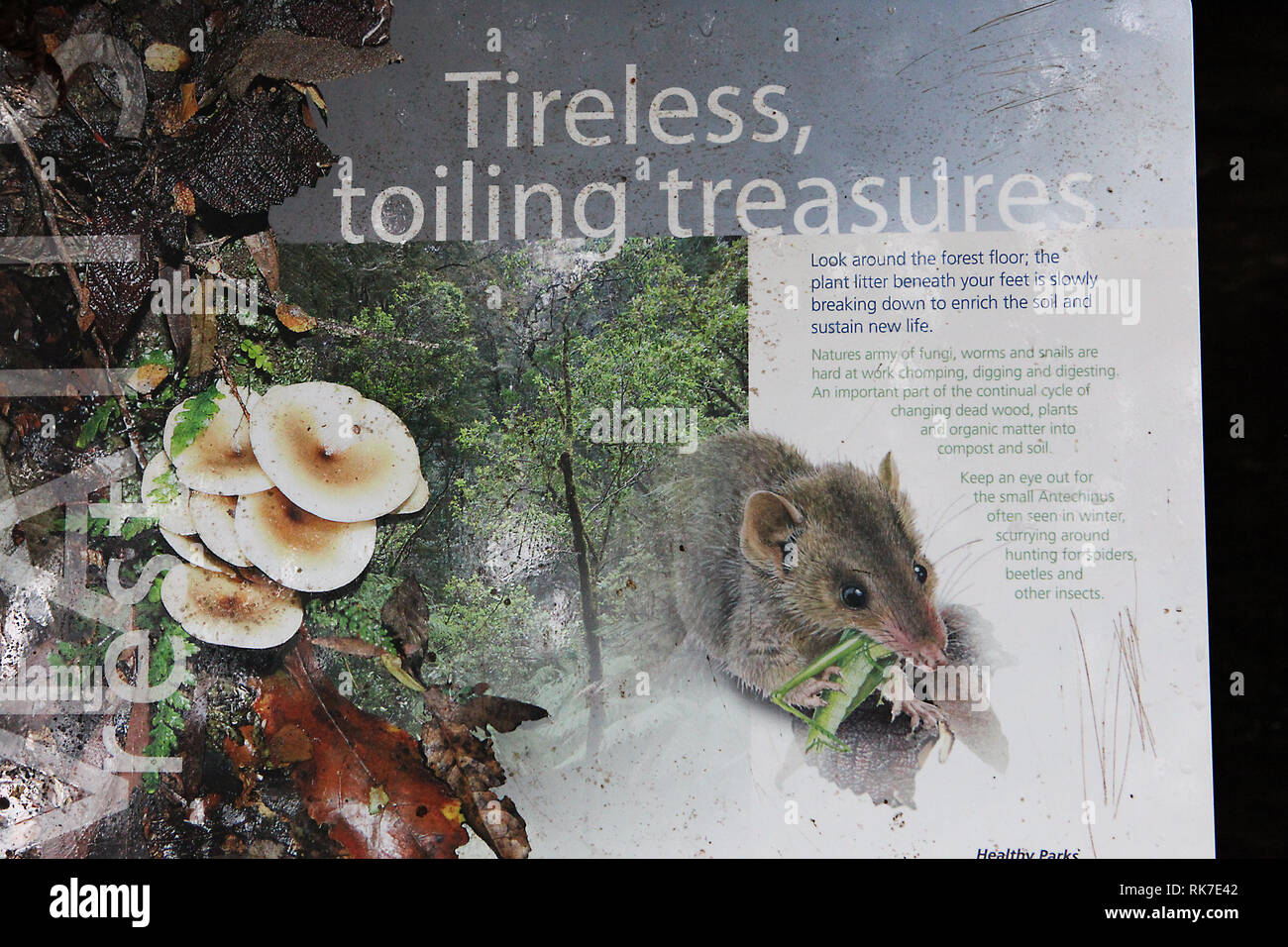 Visit Australia.  Timeless toiling treasures. Stock Photo