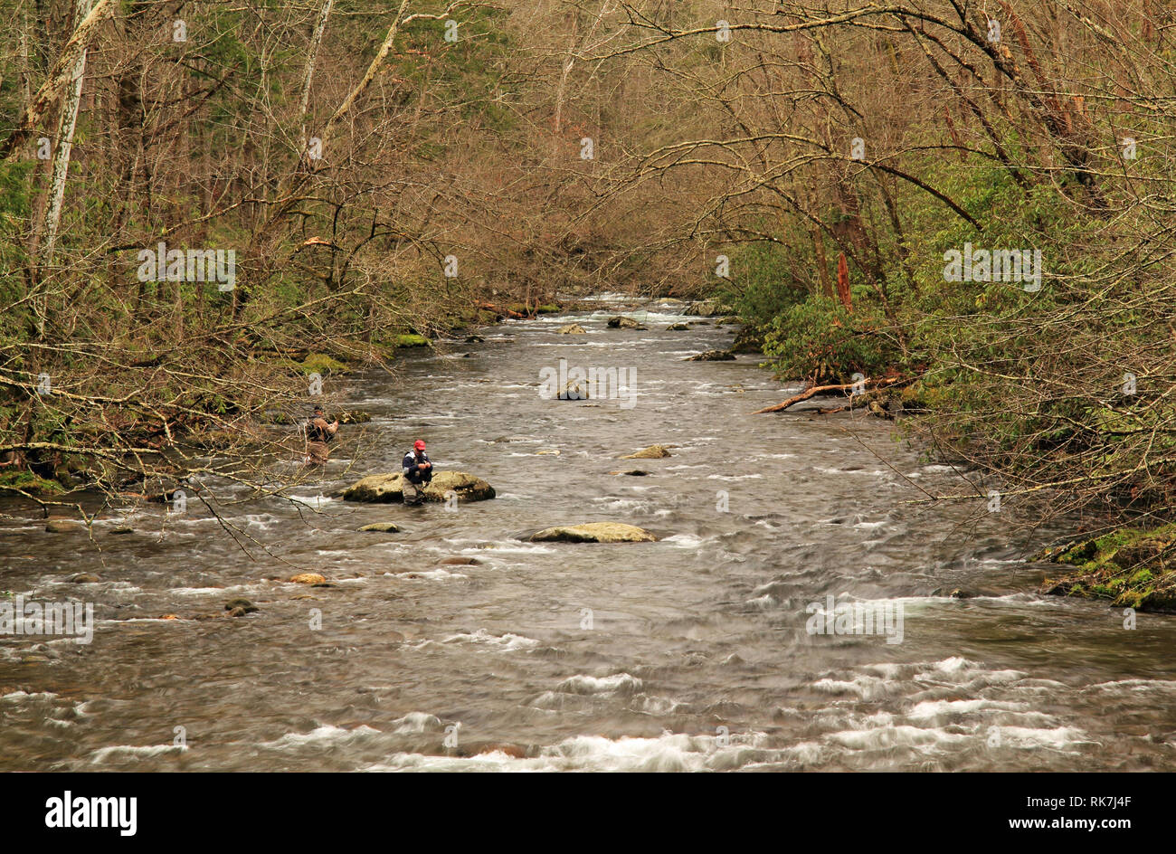 Smokey mountains fly fishing hires stock photography and images Alamy
