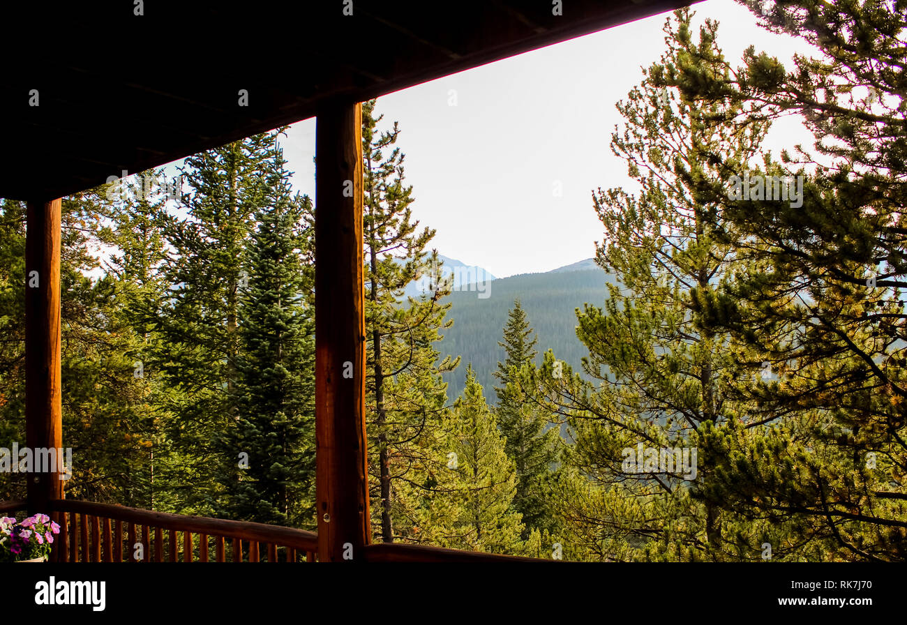 Colorado Cabin In The Woods Stock Photo 235581220 Alamy