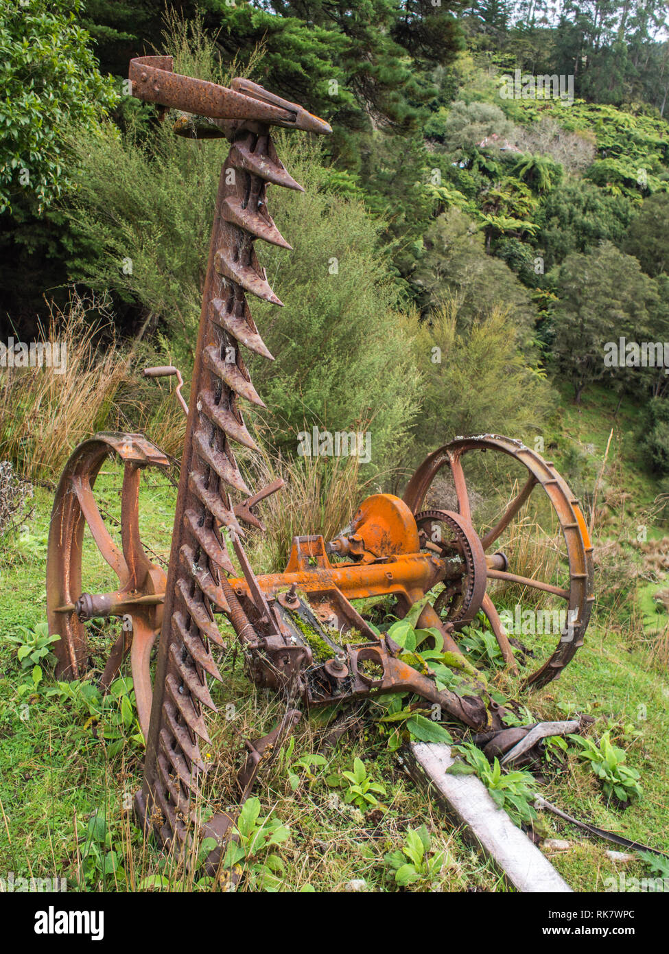 Derelict horse drawn sickle mower, overgrown by regenerating forest, Ahu Ahu Ohu, Ahuahu Valley, North Island, New Zealand Stock Photo