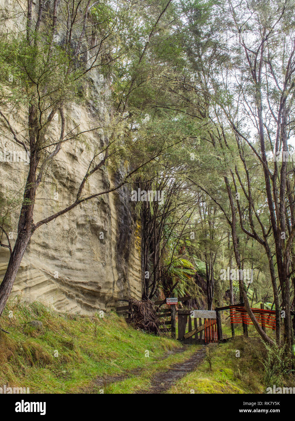 Boundary gate, a trail thru kanuka forest, beneath a sandstone bluff cliff, Ahu Ahu Ohu, Ahuahu Valley, Whanganui River, North Island, New Zealand Stock Photo