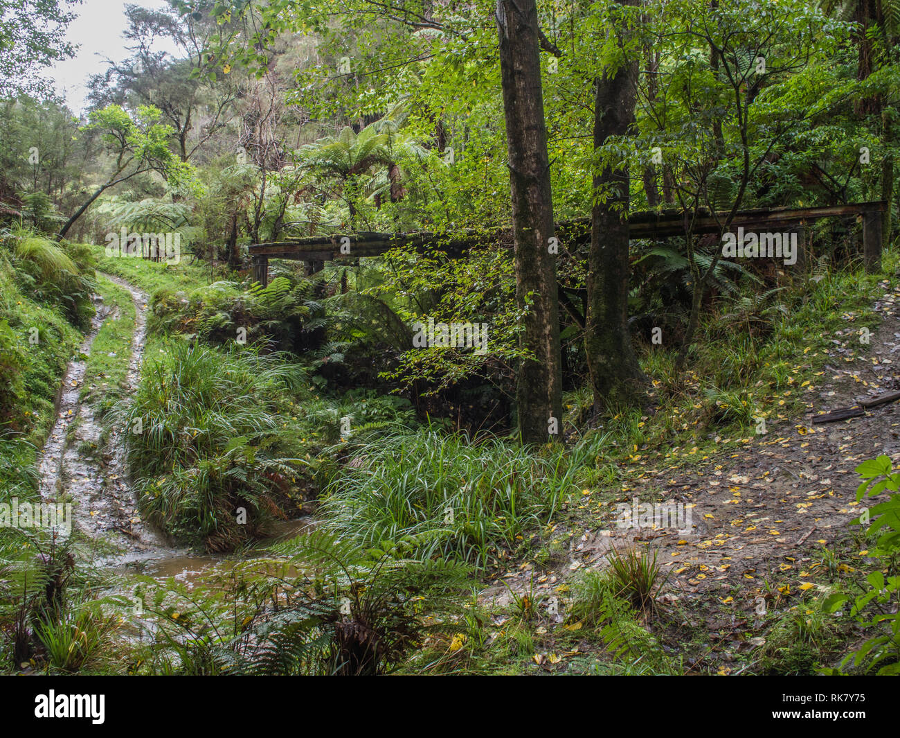 Broken bridge, dirt track trail diversion and ford across stream, regenerating forest on abandoned farm,  Ahuahu Valley, Whanganui River, New Zealand Stock Photo