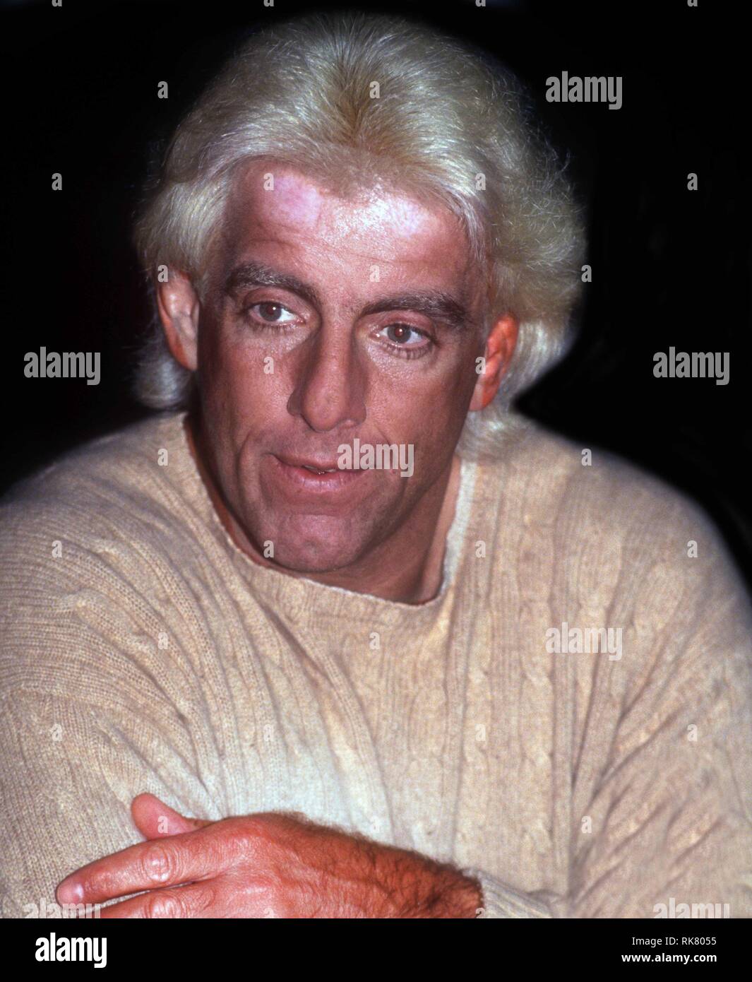 Ric Flair 1994 Photo By John Barrett/PHOTOlink Stock Photo