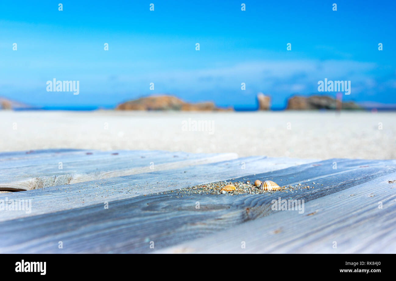 Sea shells ans sand on wooden table with tropical white sand and blue sky for background, Vai, Crete, Greece. Stock Photo