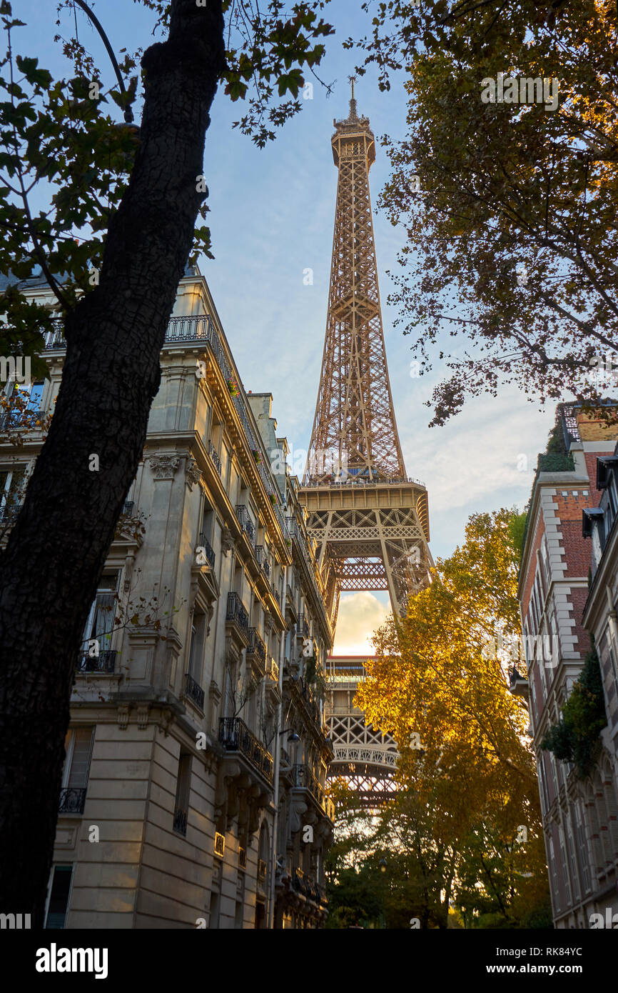 Eiffel Tower Shot Between Typical Parisian Style Buldings And Trees Stock Photo