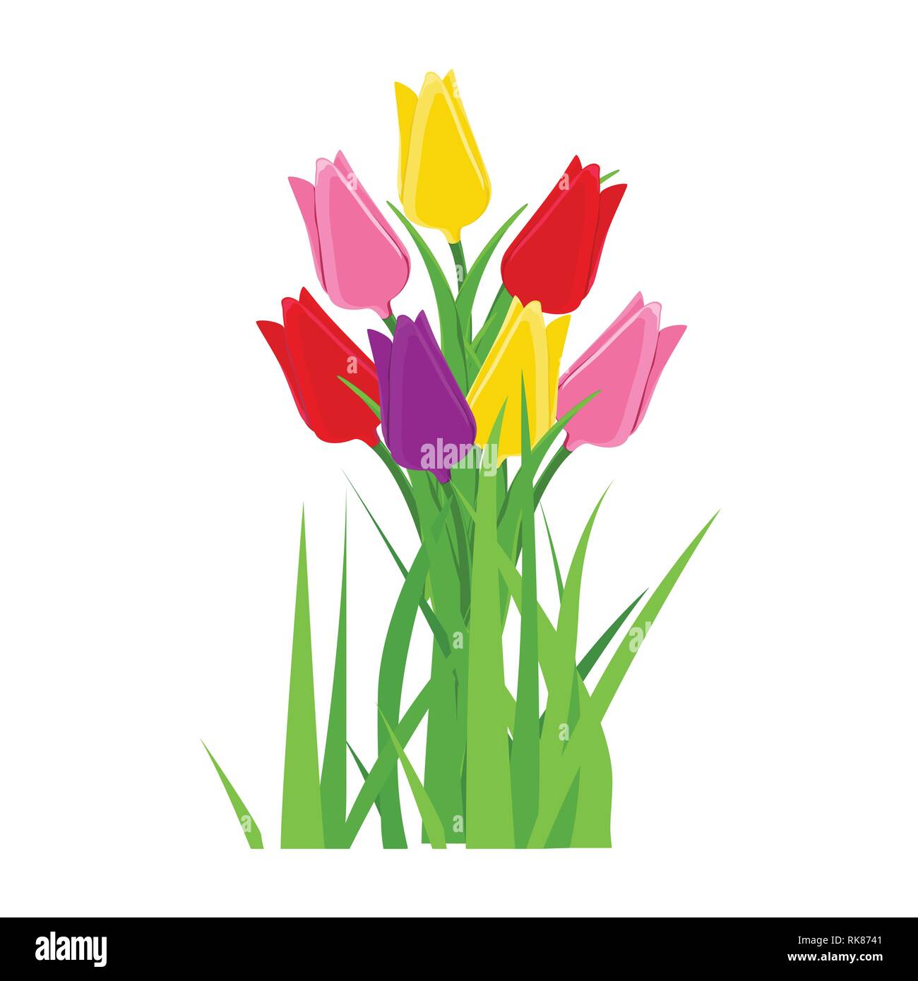 Early spring forest and garden flowers isolated on white vector set ...