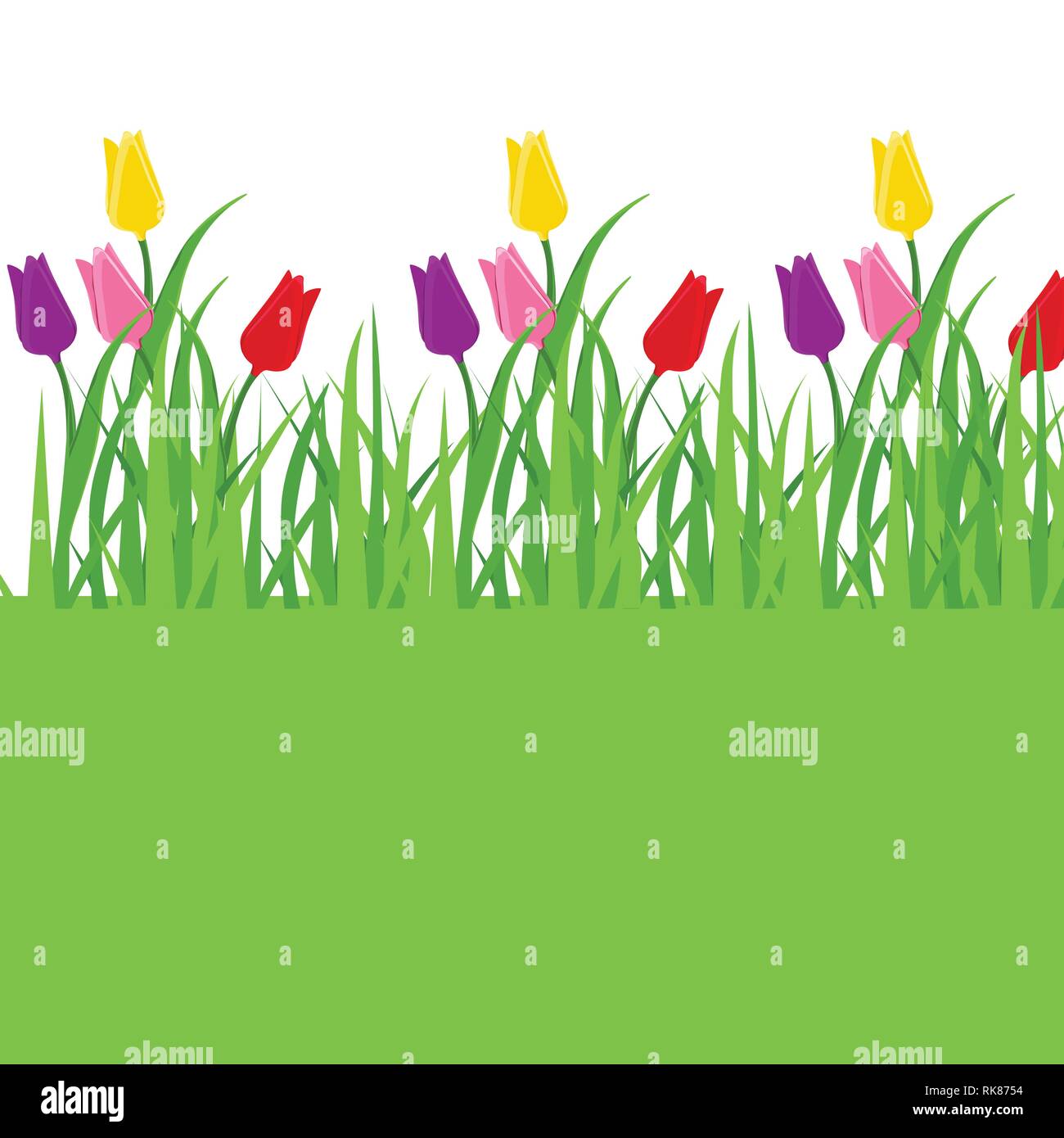 Early spring forest and garden flowers isolated on white vector set ...