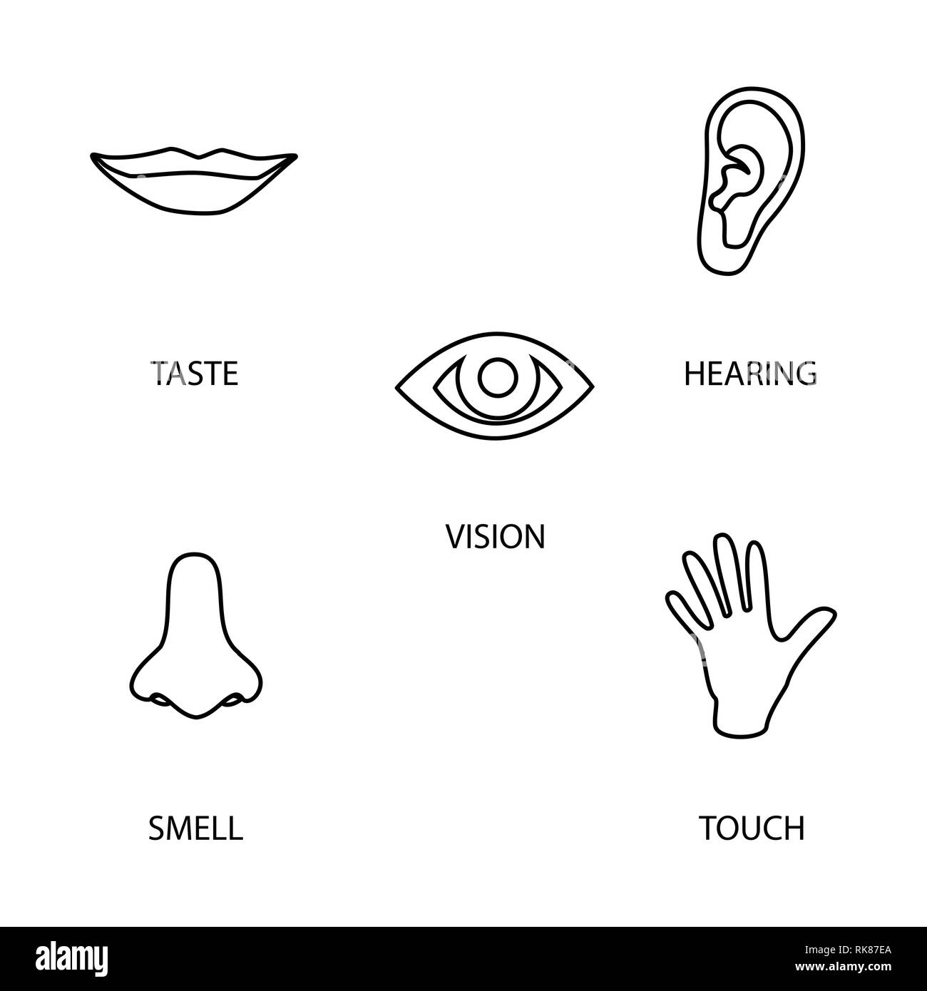 Icon Set Of Five Human Senses Vision Eye Smell Nose Hearing Ear Touch Hand Taste Mouth Simple Line Icons Stock Vector Image Art Alamy