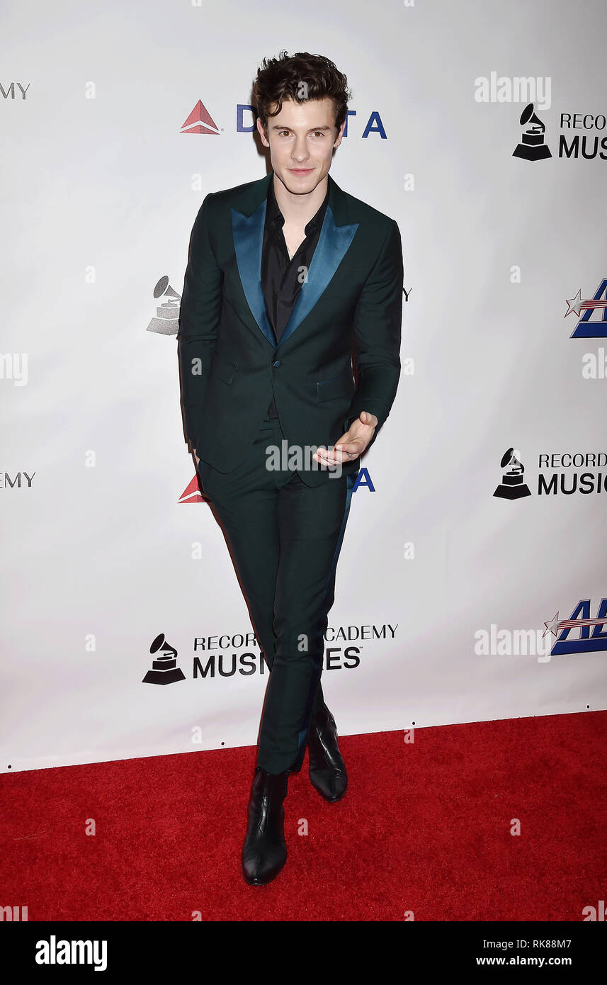 LOS ANGELES, CA - FEBRUARY 08: Shawn Mendes attends MusiCares Person of ...