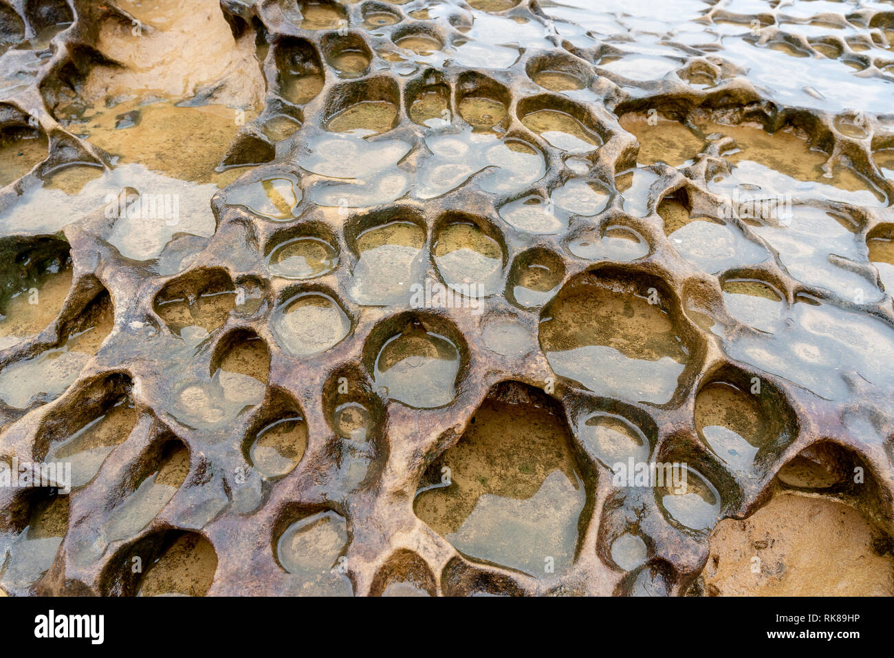 Weathering rock at Yehliu Geopark in Taiwan Stock Photo Alamy
