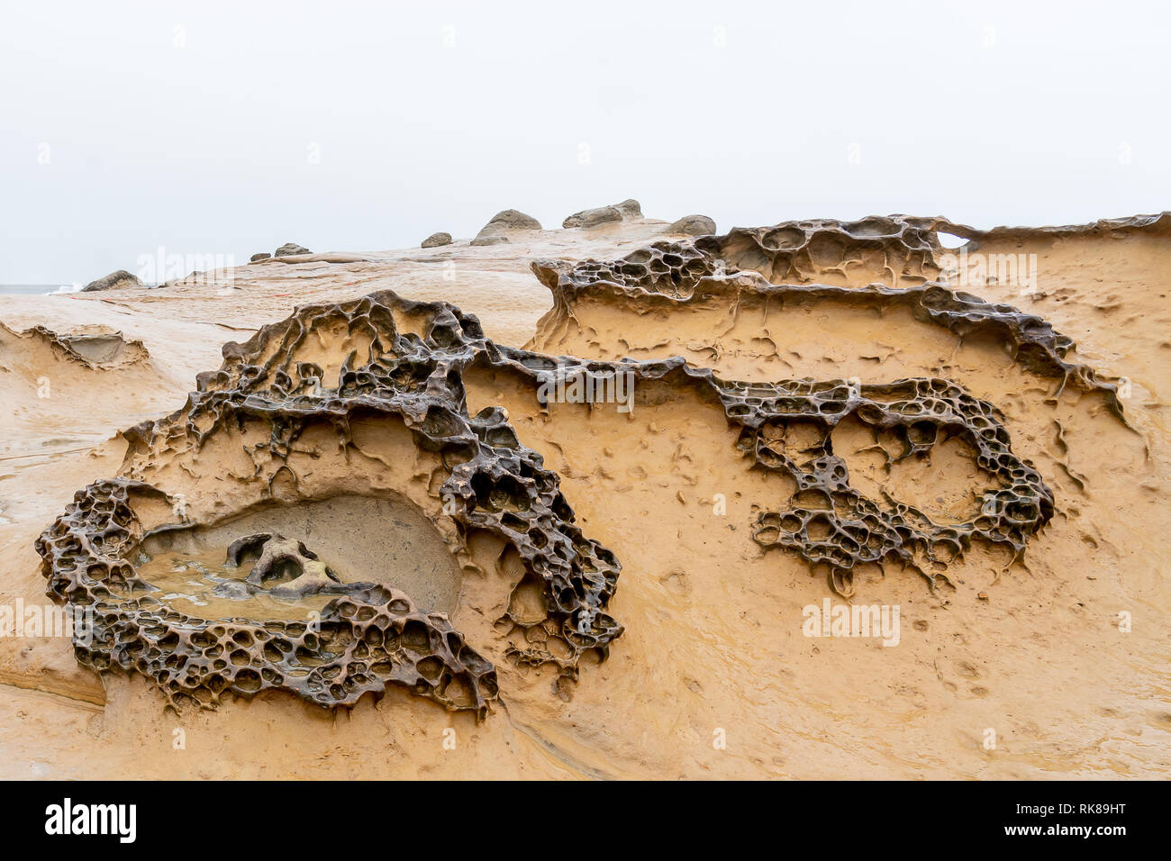 Honeycomb Weathering rock at Yehliu Geopark in Taiwan. Stock Photo