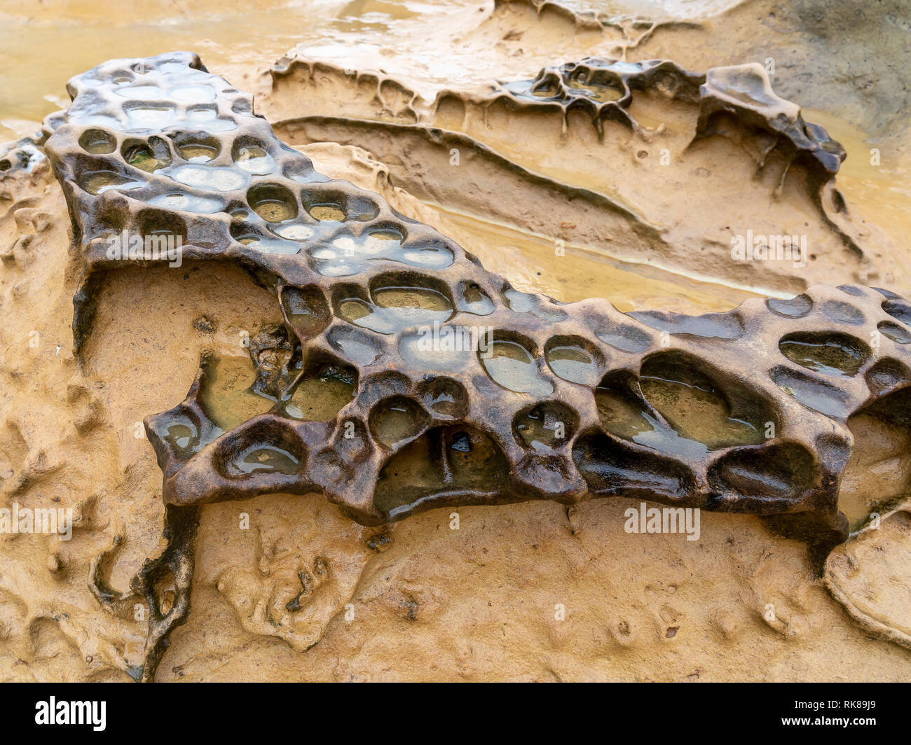 Weathering rock at Yehliu Geopark in Taiwan Stock Photo Alamy