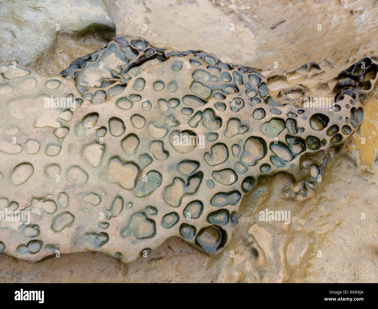 Weathering rock at Yehliu Geopark in Taiwan Stock Photo Alamy