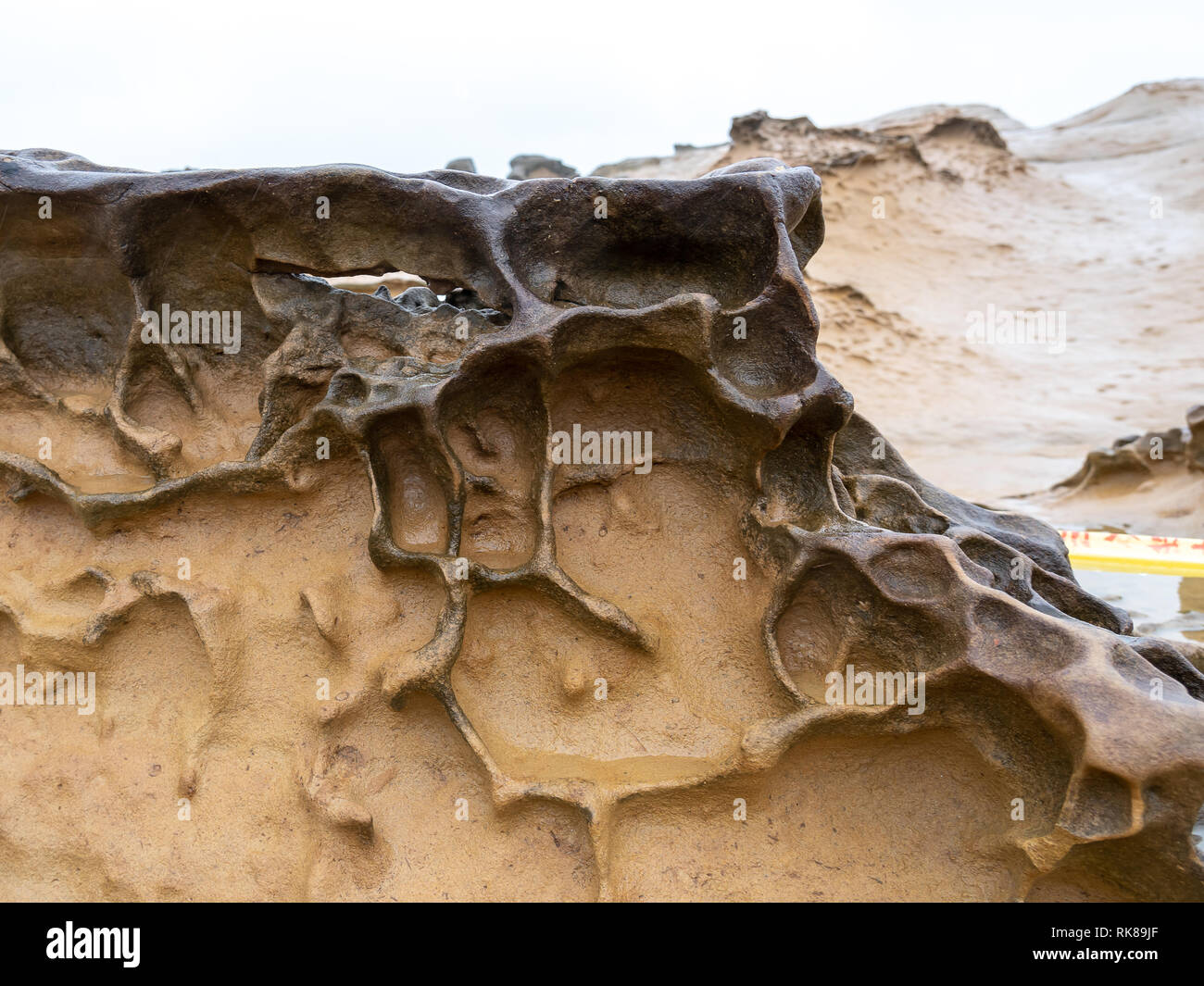 Weathering rock at Yehliu Geopark in Taiwan Stock Photo Alamy