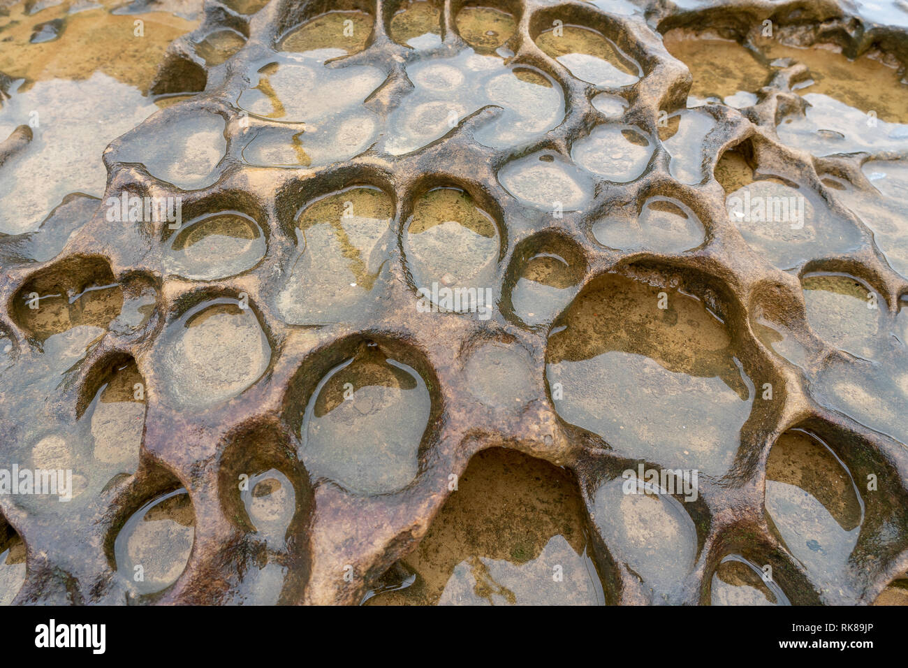 Weathering rock at Yehliu Geopark in Taiwan Stock Photo Alamy
