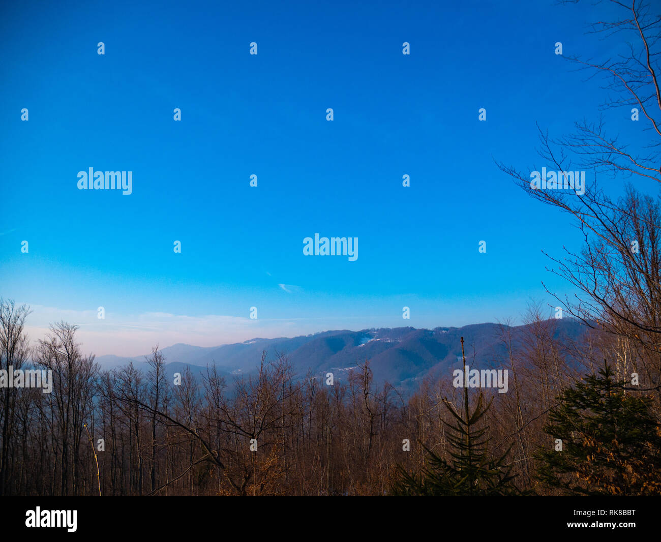 Trees on the background of high mountains at sunset Stock Photo