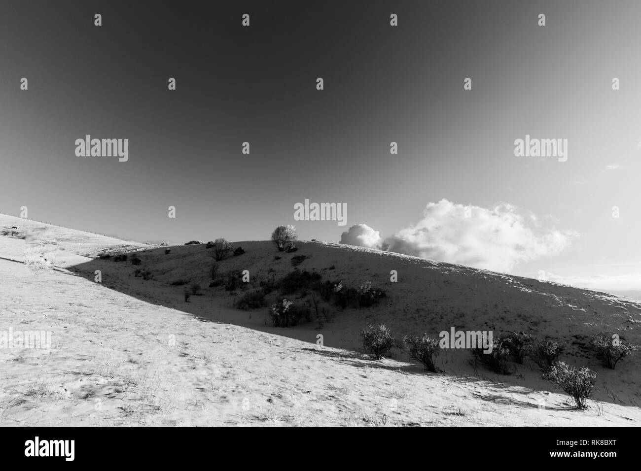 Subasio mountain (Umbria, Italy) in winter, covered by snow, with plants Stock Photo