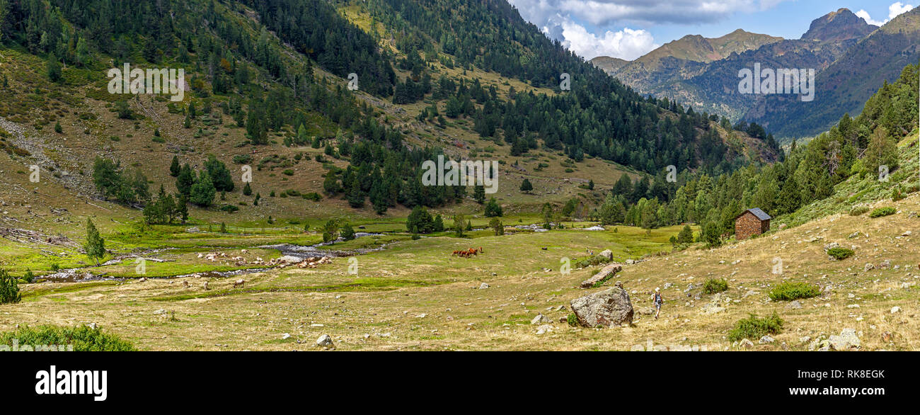 Pyrenees Green Valley Stock Photo - Alamy