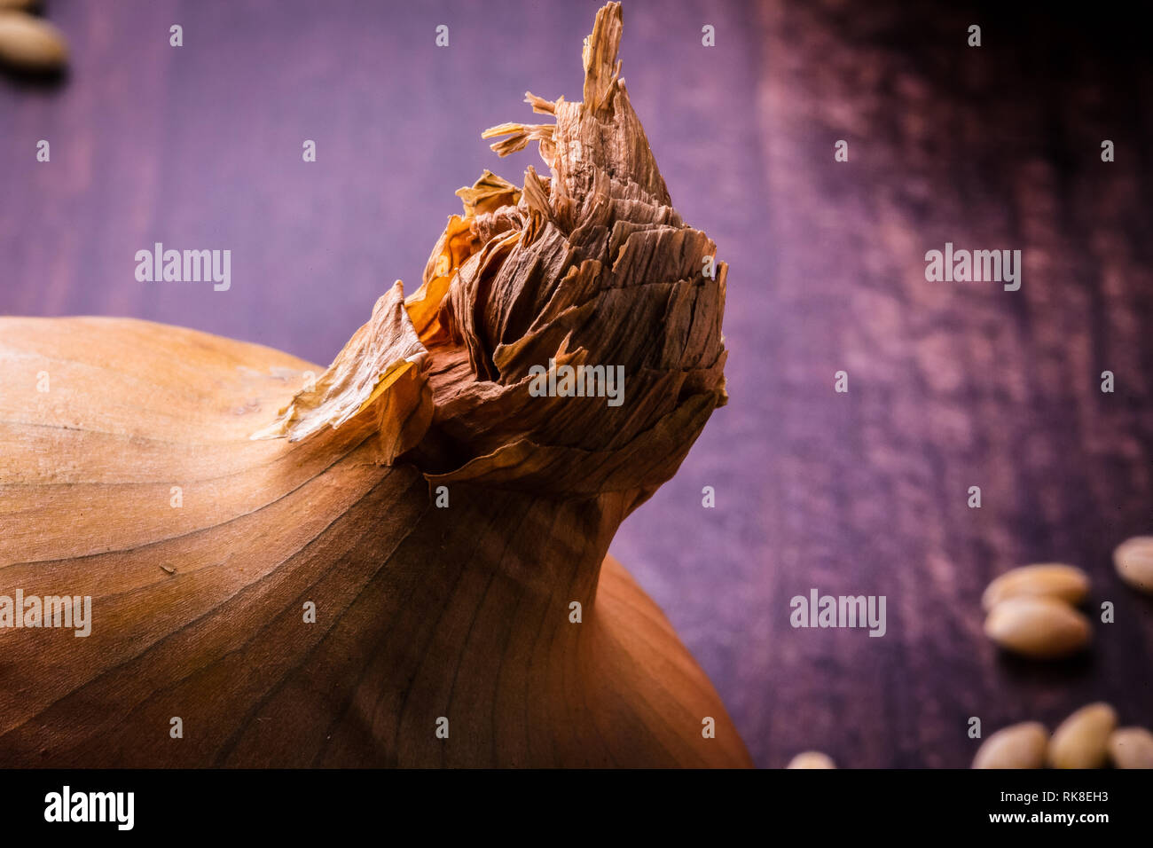 Close up of a brown onion with the tunic clearly visible Stock Photo