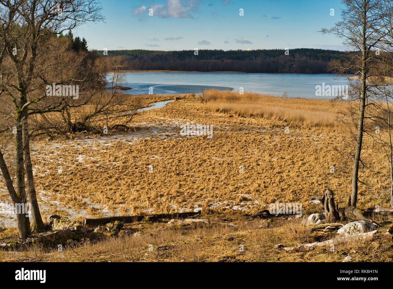Frozen Lake Oxundasjon, Upplands Vasby, Stockholm, County, Sweden, Scandinavia Stock Photo