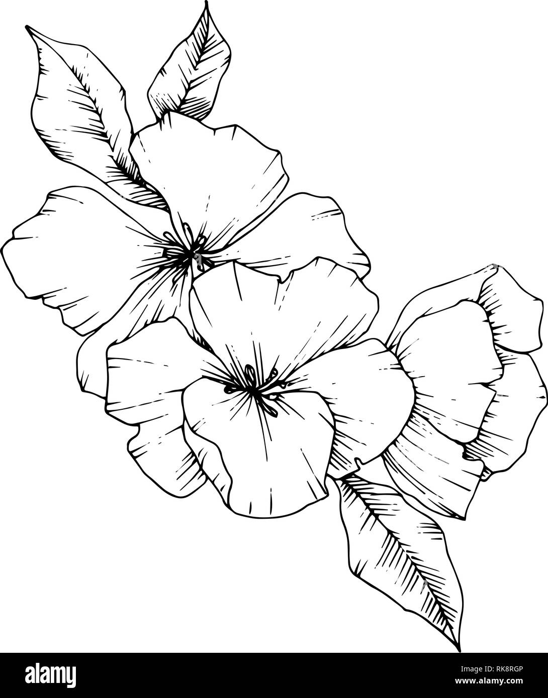 Vector Apple Blossom Floral Botanical Flower Black And White Engraved Ink Art Isolated Flowers Illustration Element Stock Vector Image Art Alamy Vector Apple Blossom Floral Botanical Flower Black And White Engraved Ink Art Isolated Flowers Illustration Element Stock Vector Image Art Alamy