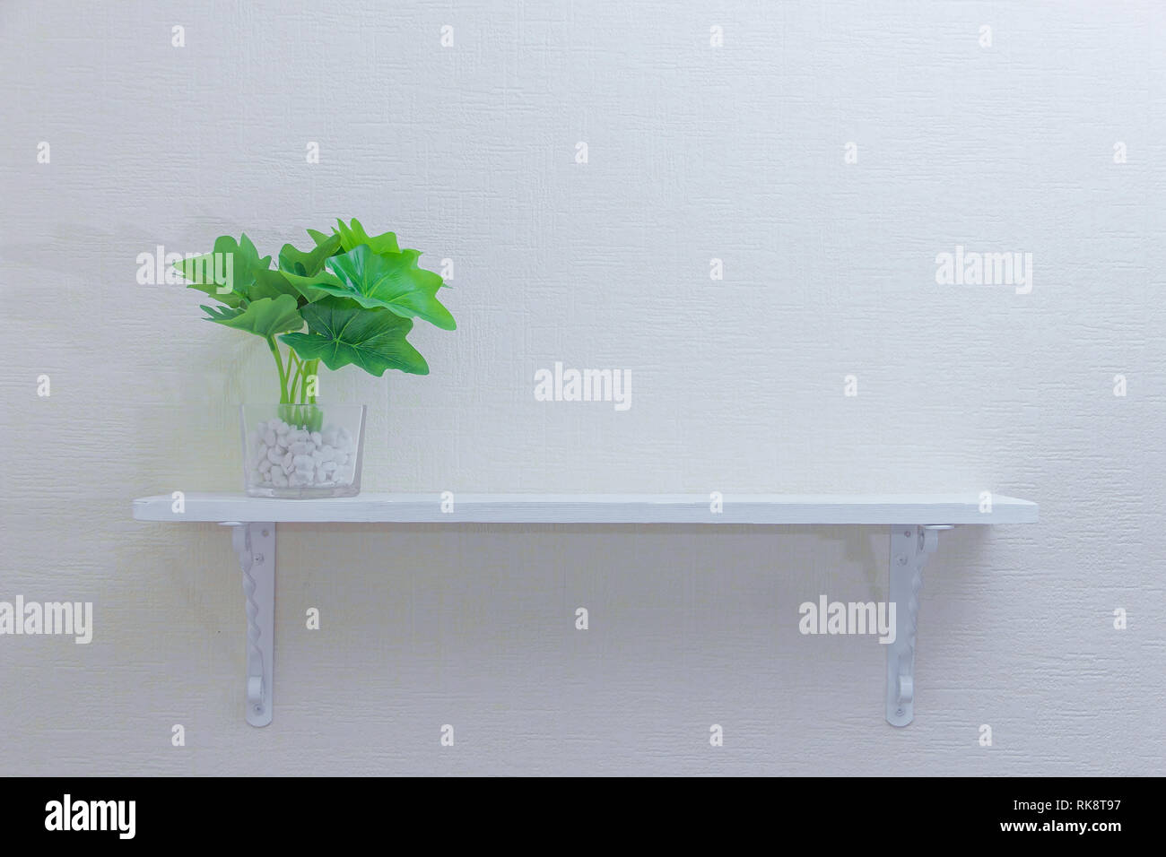 houseplant in cute pots on wooden shelf on white wall with copy space ...