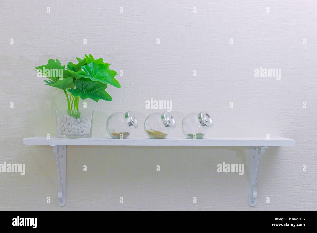 houseplant in pot and spice in bottles on white wooden shelf. Copyspace. Stock Photo