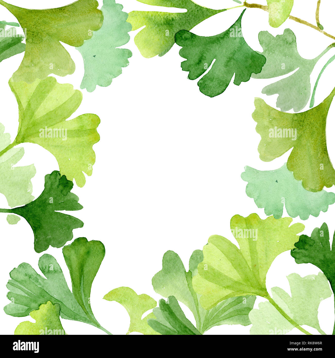 Ginkgo biloba green leaves. Watercolor background illustration set