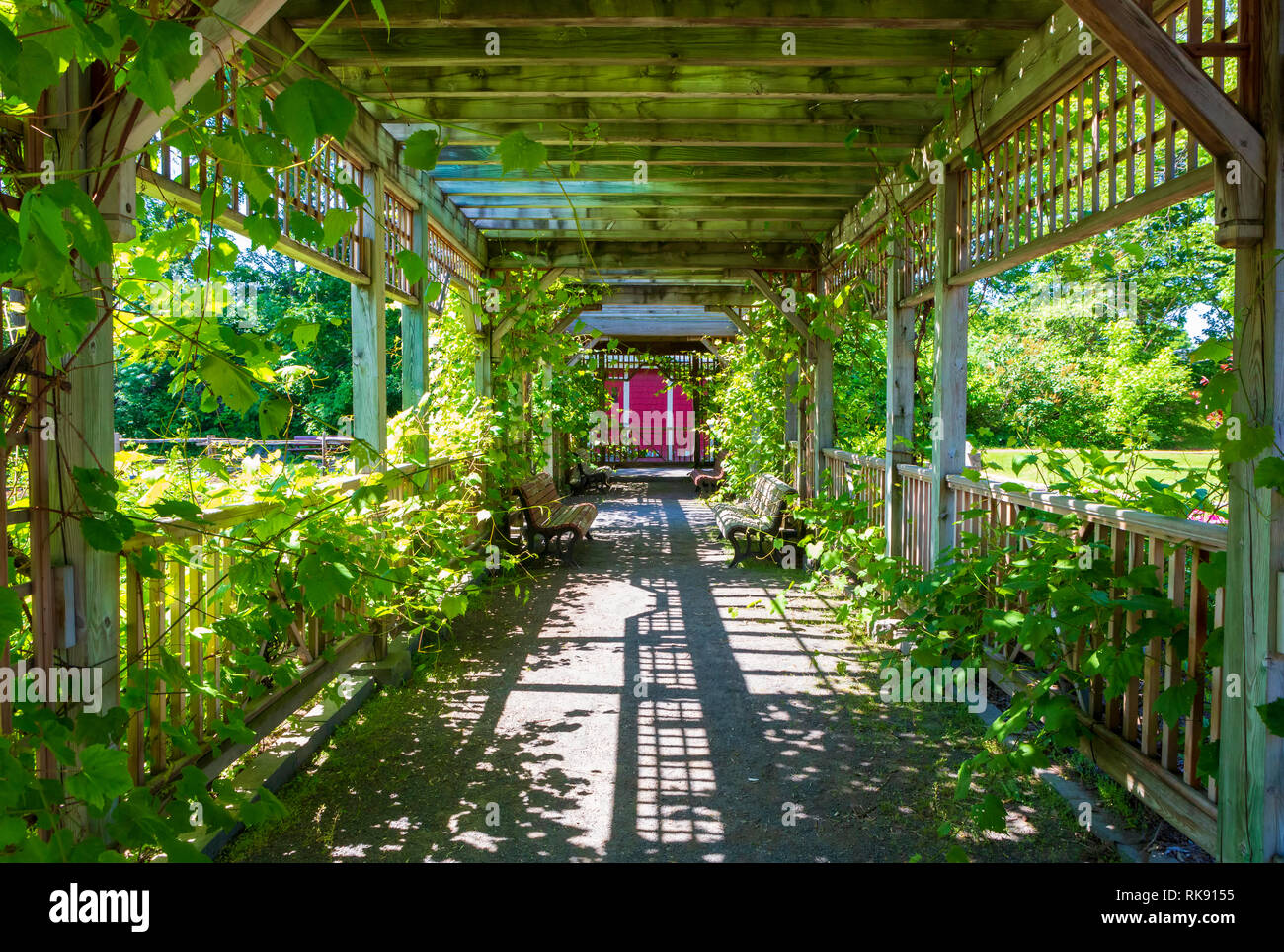 The Montreal Botanical Garden, a large botanical garden in Montreal