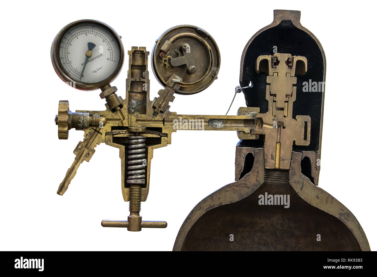 Cross Section Cylinder
